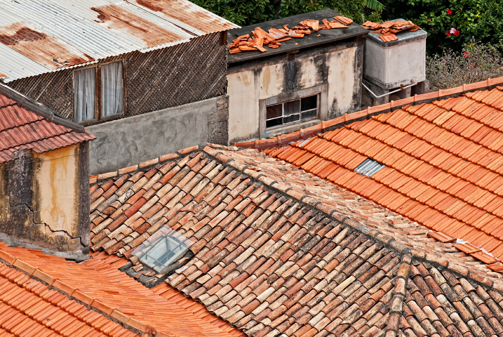 337_Madera_Camara de Lobos.jpg
